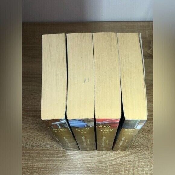 Lot 4 LIvres/Books Michel David-La Poussiere Du Temps tome 1-4 French Softcover - Picture 7 of 7